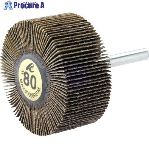 AC フラップホイル 軸径6mm #80 外径60×幅25×軸長40 AF6025-80 5個 ▼306-5022【代引決済不可】