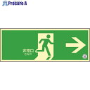 緑十字 中輝度蓄光避難誘導ステッカー標識 非常口→ TSN801 120×360 消防認定品 068001 1枚 ▼791-3842