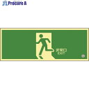 緑十字 中輝度蓄光避難誘導標識 非常口 蓄光FA-801 120×360mm 塩ビ 消防認定品 068801 1枚 ▼814-8726