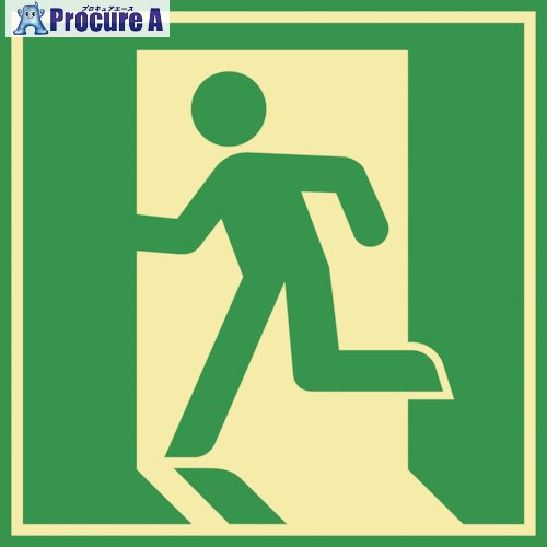 緑十字 蓄光式避難誘導ステッカー標識 非常口 蓄光E 480×480mm エンビ ドア用 069005 1枚 ▼814-8734