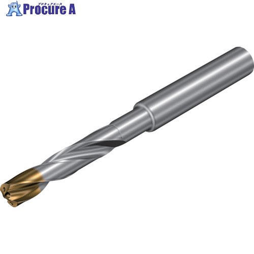 サンドビック コロドリル860‐GM 超硬ソリッドドリル(720) X1BM 860.1-0670-034A1-GM X1BM (720) 1本 ▼350-7922【代引決済不可】 ●KO521