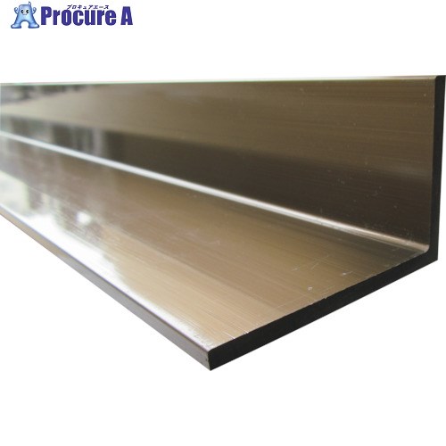 アルインコ アルミ不等辺アングル 15×30×2.0 ブロンズ艶消し 2m FA264B2 1本 ■▼849-4362【代引決済不可】【送料都度見積】※車上渡し※個人宅様送り不可