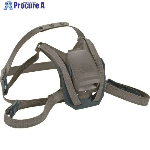 3M 交換用しめひも 面体6500QL用 6582 6582 1パック ▼755-0472