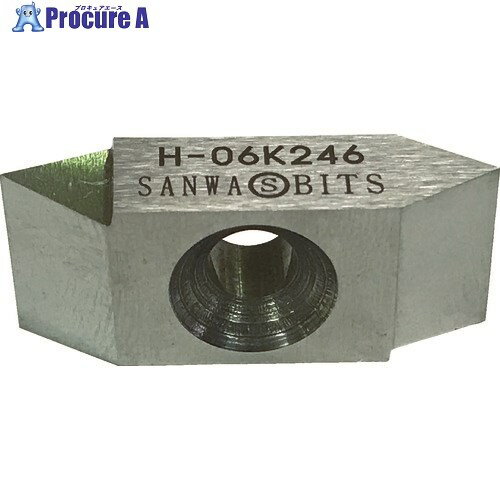SANWA ¥ͥڥå 06K246 10 411-0862