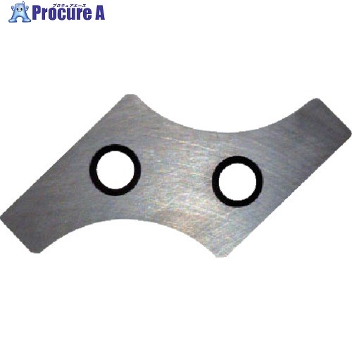 富士元 Rギガ専用チップ 超硬M種 19R NK2020 XNEW3004-19R NK2020 3個 ▼796-9538