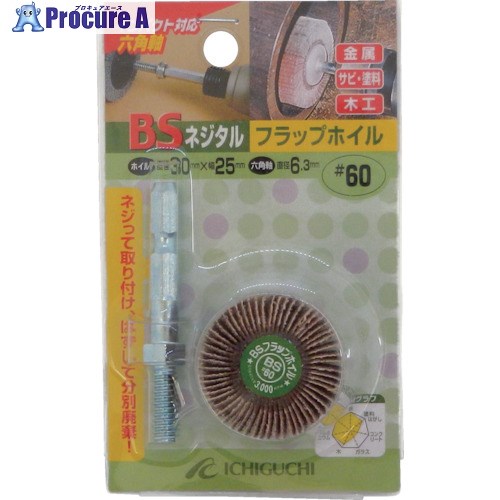 BS ネジタル-フラップホイル(六角軸) 30X25/6.3 #120 50506 1個 ▼410-3335【代引決済不可】
