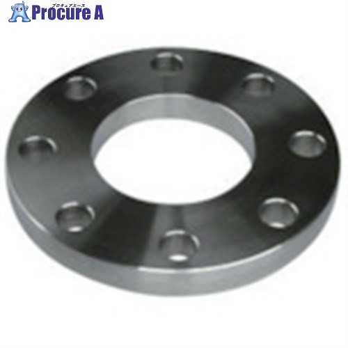 inoc ܥե SUS304 FF 20K 15A 304FF20K15A 1 806-4254Բġۡ...