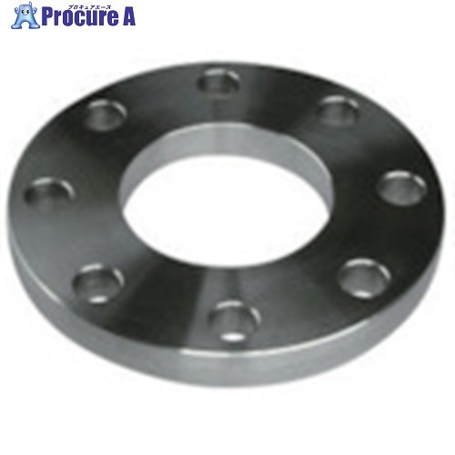 inoc ܥե SUS304 FF 20K 20A 304FF20K20A 1 806-4256Բġۡ...