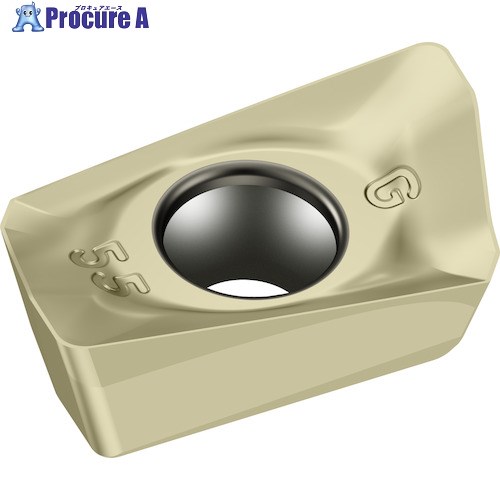 ワルター ミーリング加工用 ひし形ポジチップ WSP45G BCMT090302R-G55 WSP45G 10個 ▼411-3008【代引決済不可】 ●O585