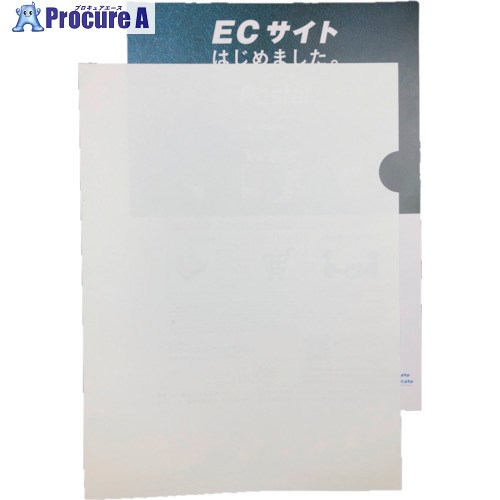 ダイオーミウラ 紙ファイル エコファ(100枚入) 78000651 1箱 ▼522-7473【代引決済不可】