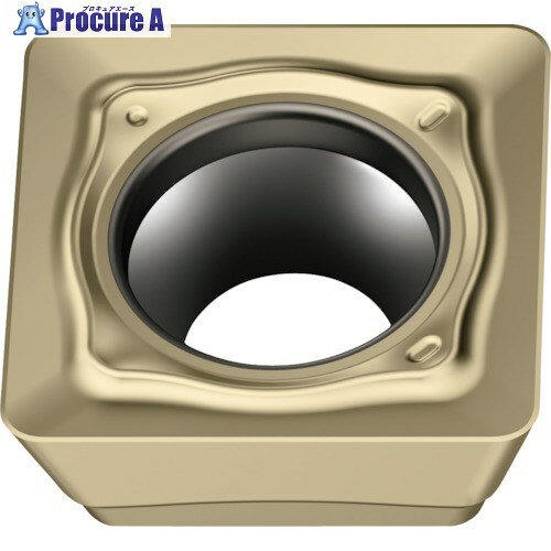 ワルター ミーリング加工用 正方形ポジチップ WSP45G SDMT09T3AEN-D57 WSP45G 10個 ▼577-4008【代引決済不可】 ●O585