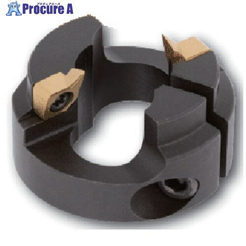 タンガロイ 面取りリング TDXCF TDXCF190L25 1個 ▼711-9381【代引決済不可】 ●MA515