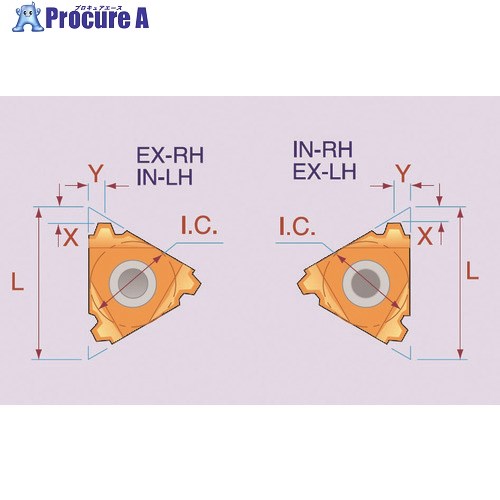NOGA åͤڤѥå 16EL3TRBMA 10 208-9589 ٸѡ