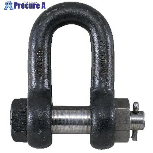 コンドーテック JIS規格シャックル SBシャックル 22(3.15t) ドブメッキ 022SBND022 1個 ■▼543-1597 【送料都度見積】