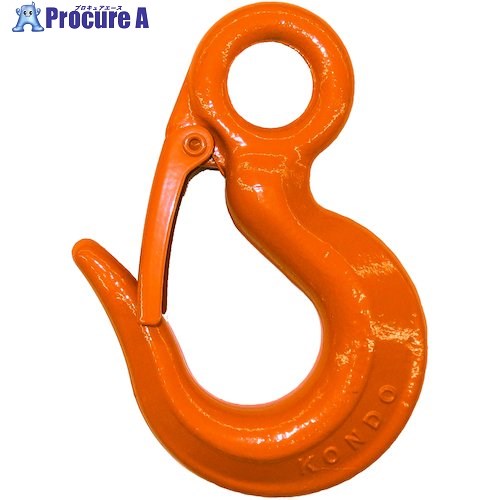 コンドーテック 鍛造環付フック(安全レバー付) 塗装 1t 063A2T01S 1個 ■▼586-8412 【送料都度見積】