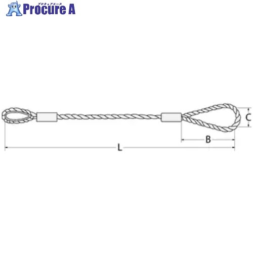 荷役用品 吊りクランプ・スリング・荷締機メーカー名コンドーテック（株）プラス名称 コンドーテック商品名コンドーテック　JISロック止ワイヤ　φ14×3M　片コース片ワサ自然280型式05220143メーカー希望小売価格【税抜】open（税抜...