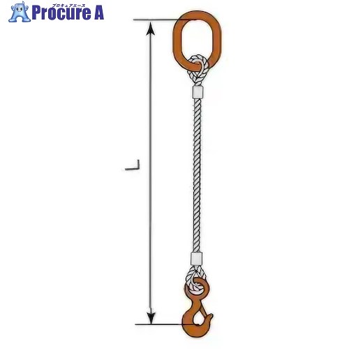 コンドーテック JISロック止ワイヤ 9mm 楕円リング 環付きフック 0.5t 塗装 φ9×1M TS5S・A1012S 05221RDFT091 1組 ■▼612-3515【代引決済不可】【送料都度見積】