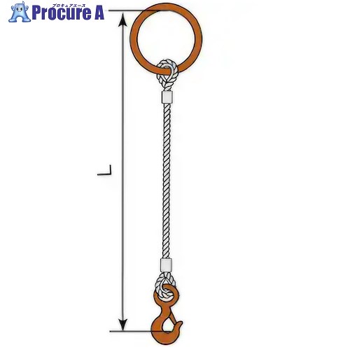 コンドーテック JISロック止ワイヤ 9mm 丸リング 環付きフック 0.5t 塗装 φ9×4M TS5S・T16 05221RTFT094 1組 ■▼612-4407 【送料都度見積】