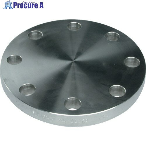 inoc ֥饤ɥե SUS304 BF 10K 10A 304BF10K10A 1 806-4173Բġۡ...