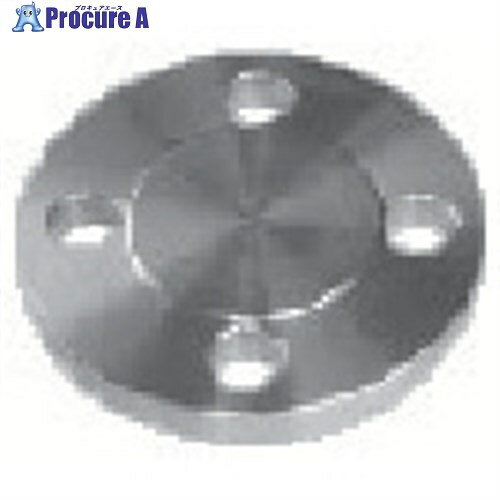 inoc 面座付ブラインドフランジ 10K50A 316BDRF10K50A 1枚 ■▼806-4868【代引決済不可】【送料都度見積】