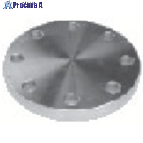 inoc ֥饤ɥե SUS316L BF 10K 300A 316LBF10K300A 1 850-4871Բġ