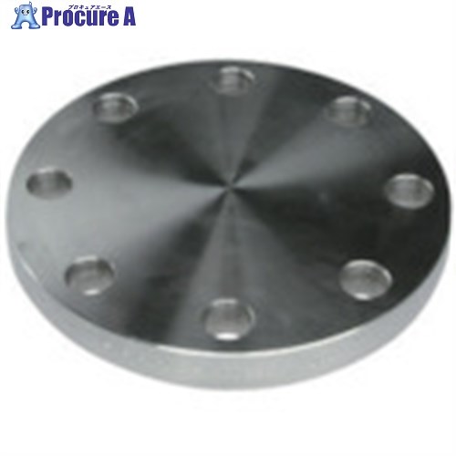 inoc ֥饤ɥե SUS304 BF 10K 350A 304BF10K350A 1 850-5162Բġۡ...