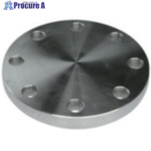 inoc ֥饤ɥե SUS304 BF 10K 400A 304BF10K400A 1 850-5163Բġۢ...