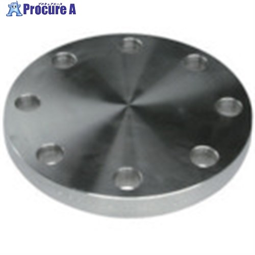 inoc ֥饤ɥե SUS304 BF 10K 500A 304BF10K500A 1 850-5165Բġۢ...