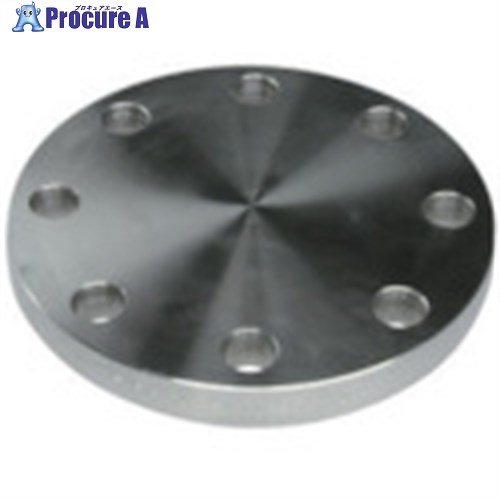 inoc ֥饤ɥե SUS304 BF 10K 550A 304BF10K550A 1 850-5166Բġۢ...