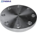 inoc 上水道フランジ WBF 250A 304WBF250A 1枚 ■▼850-5187【代引決済不可】【送料都度見積】※車上渡し