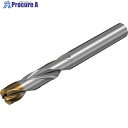SANDVIK コロドリル860‐GM 超硬ソリッドドリル(720) X1BM 860.1-0630-032A0-GM X1BM (720) 1本 ■▼352-6800 【送料都度見積】 ●KO521(4)
