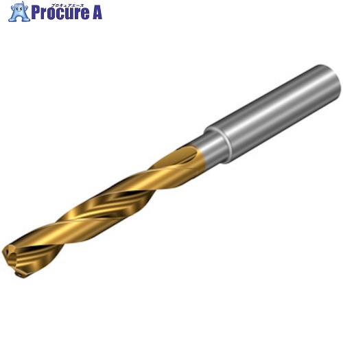 SANDVIK コロドリル860-PM 超硬ソリッドドリル(720) P1BM 860.1-0794-028A1-PM P1BM(720) 1本 ■▼456-7309 【送料都度見積】 ●KO521