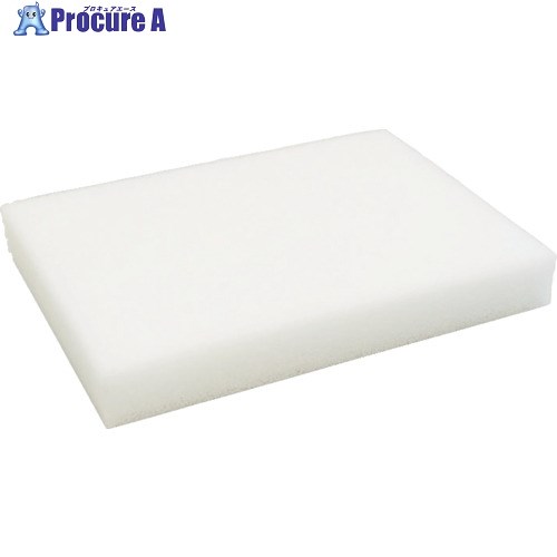 AION プラスセーヌ 洗車スポンジ ホワイト 704-W 1個 ▼497-2481