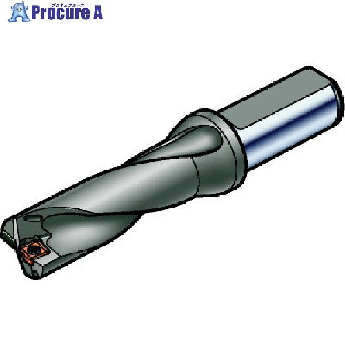 SANDVIK 򴹼ɥ ѡUɥ(465) 880-D1270L20-03 (465) 1 565-8993 ...