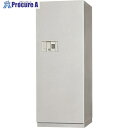 キング テンキー式耐火金庫容量282L BS54-2E 1台 ■▼135-9382 【送料都度見積】※車上渡し