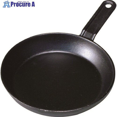 TKG イシガキ 鉄鋳物フライパン 720A 15cm AHL27015 1個 ■▼188-5070 【送料都度見積】