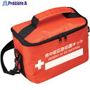 緑十字 熱中症応急処置キット用ポーチ レギュラー オレンジ 250×160×150mm 375906 1個 ■▼664-2686 【送料都度見積】