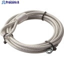 ELECOM ワイヤー(2.2mm×0.5m) ESL-W3046 1本 ■▼147-0954【代引決済不可】