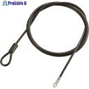 ELECOM ワイヤー(3.8mm×2m) ESL-W5056 1本 ■▼147-2590【代引決済不可】