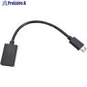 Dino‐Lite Dino-Liteシリーズ用 USB OTG ケーブル(Micro B) DINOOTGB 1台 ■▼162-0048【代引決済不可】【送料...