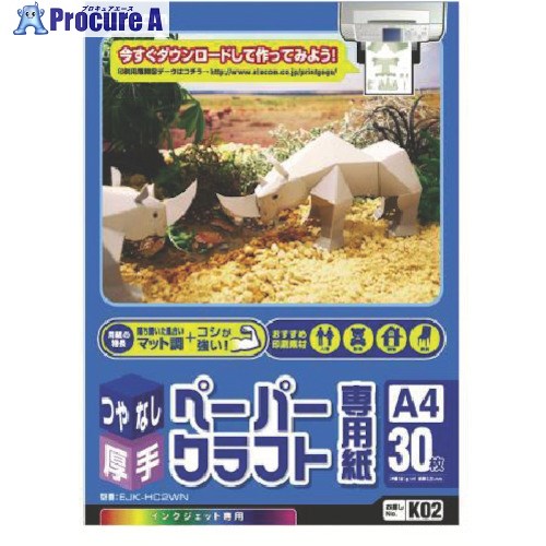 エレコム ペーパークラフト専用紙 EJK-HC2WN 1個 ■▼539-1652