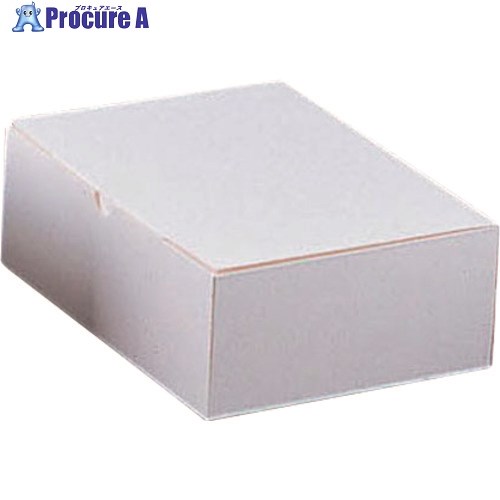 TKG エコ洋生 サービスボックス 20-153 5号 100枚入 WBT3904 1個 ■▼138-8121【代引決済不可】【送料都度見積】