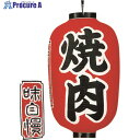 TKG カドキ ビニール提灯 印刷15号長型 焼肉 b322 YTY05011 1個 ■▼193-9687 【送料都度見積】(3)