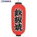 TKG カドキ ビニール提灯 印刷9号長型 鉄板焼 b244 YTY03031 1個 ■▼194-2887 【送料都度見積】