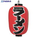 TKG カドキ ビニール提灯 印刷15号長型 ラーメン b300 YTY05002 1個 ■▼194-2909 【送料都度見積】