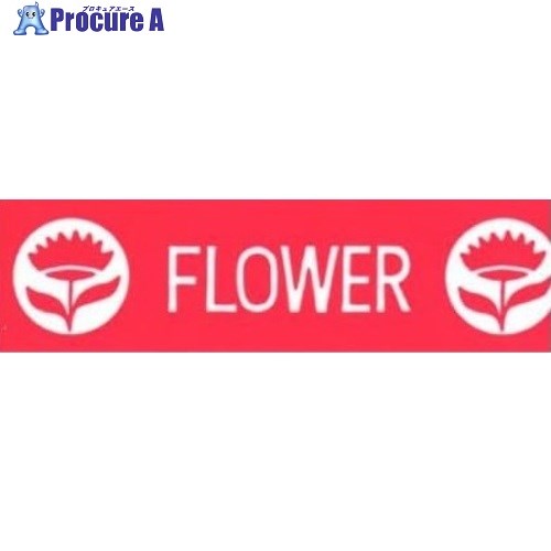 ニチバン タバネラHVPSTV-20食べよう野菜 20mmX100m HVPS-CP20 10巻 ■▼673-5678【代引決済不可】【送料都度見積】