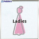 光 案内板 レディース 112×112×15 AGS100S-502 1個 ■▼621-2767 【送料都度見積】※個人宅様送り不可