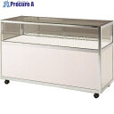 ハヤノ エクシード 平ケースC シルバー プッシュ錠付 C18-60-S-P 1台 ■▼160-8740【代引決済不可】【送料都度見積】