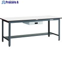 TRUSCO 中荷重作業台(500kg)AEW型 1800X750XH740 薄型1段引出付 ダークグレー色 AEWP-1875UDK1 1台 ■▼466-77...