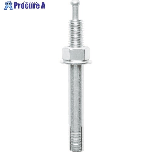 ケー・エフ・シー ホーク・ストライクアンカーCタイプ スチール製M10全長100 C10-100 50本 ▼473-3118【代引決済不可】